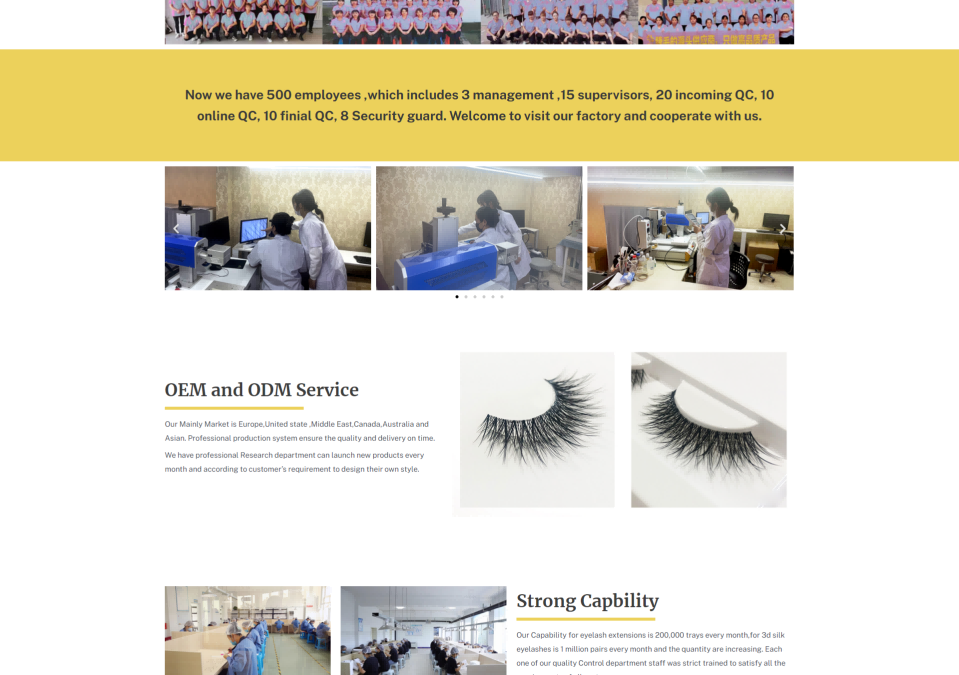 WordPress外贸建站公司案例：假睫毛制造商 B2B外贸独立站 睫毛延长、条状睫毛及各类假睫毛产品